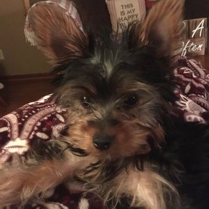 Meet your Posher, Elaine